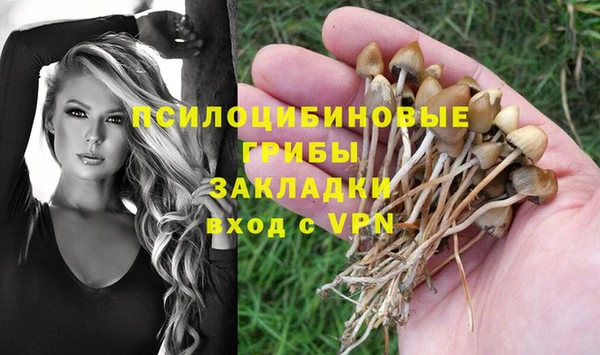 экстази Алексеевка